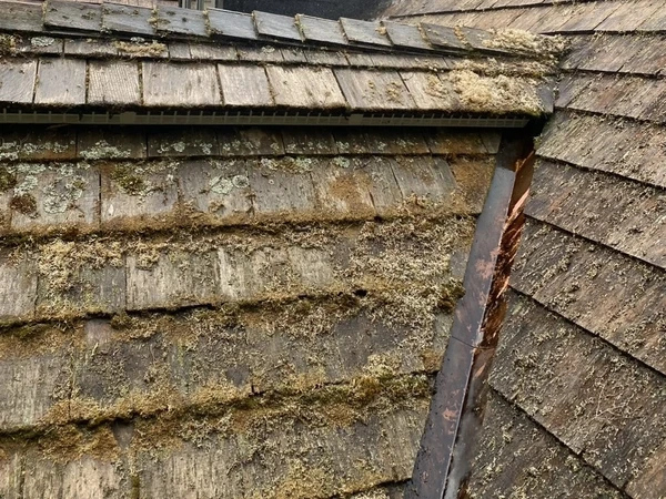 Surface before cleaning in Muskoka