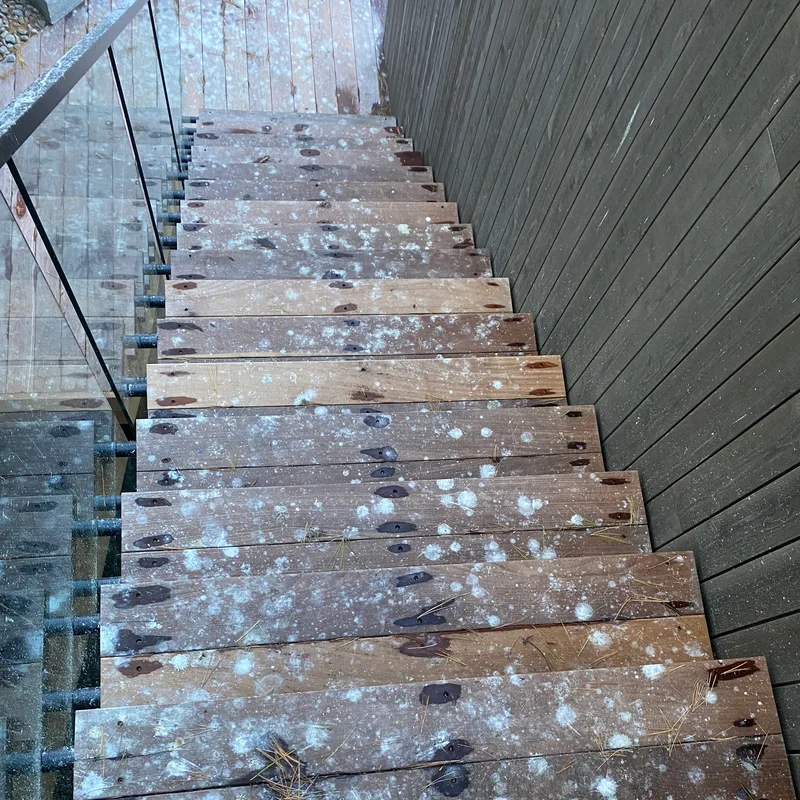 Surface before cleaning in Ontario