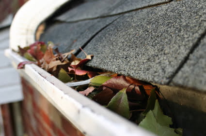 Clogged eavestroughs filled with leaves in Ontario